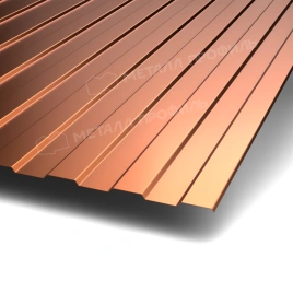 Профилированный лист С-8х1150-A (AGNETA_Д-20-Copper-0,5)