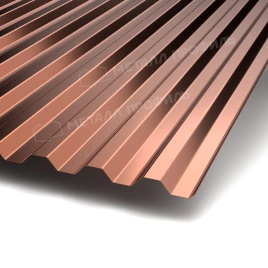 Профилированный лист С-21х1000-B (PURMAN-20-Argillite-0,5)