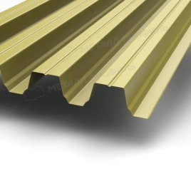 Профилированный лист Н-75х750-B (ПЭ-01-1018-0,7)