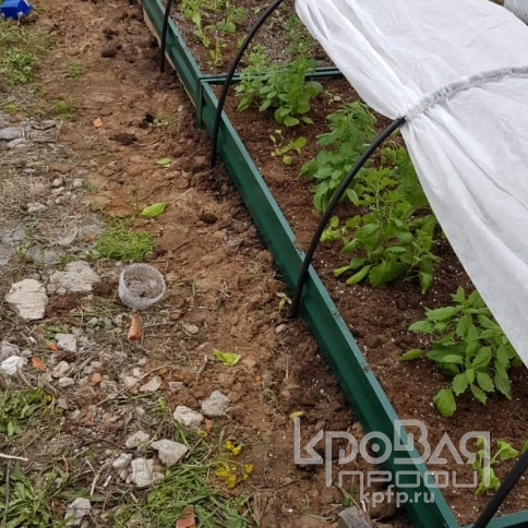 Садовая грядка металлическая оцинкованная с полимерным покрытием ТИМЕР 3000х1000 мм, Цвет: Зеленый мох фото 1