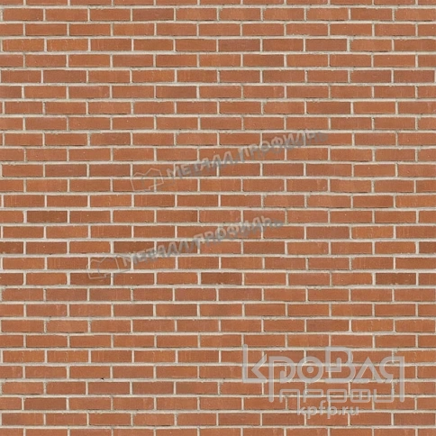 Профилированный лист С-8х1150-B (ECOSTEEL-01-Кирпич-0,5) фото 3