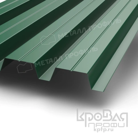 Профилированный лист Н-60х845-B (PURMAN-20-6005-0,5) фото 1