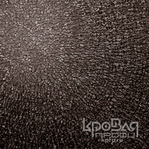 Планка торцевая 95х120х2000 (VALORI-20-DarkGrey-0.5) фото 2