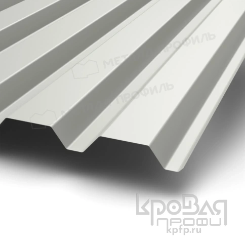 Профилированный лист С-44х1000-B (PURMAN-20-9010-0,5) фото 1