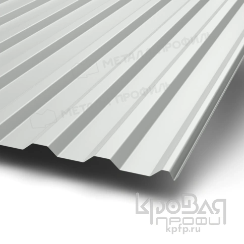 Профилированный лист МП-20х1100-R RETAIL (ПЭ-01-9003-СТ) фото 1