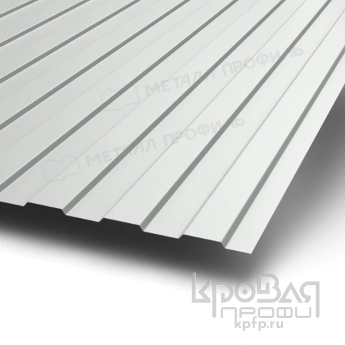 Профилированный лист С-8х1150-B (ПЭ-01-9003-0,7) фото 1