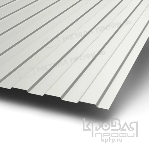 Профилированный лист С-8х1150-B (ПЭ-01-9010-0,45) фото 1