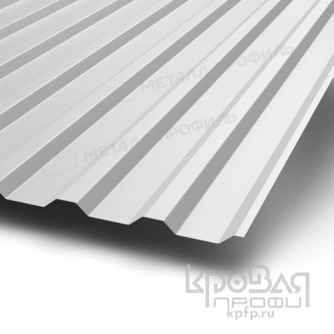Профилированный лист МП-20х1100-B (ПЭ-01-9003-0,7) фото 1