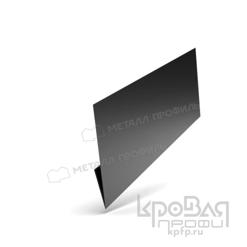 Планка начальная Lбрус-XL 20х50х3000 (PURMAN-20-9005-0.5) фото 1