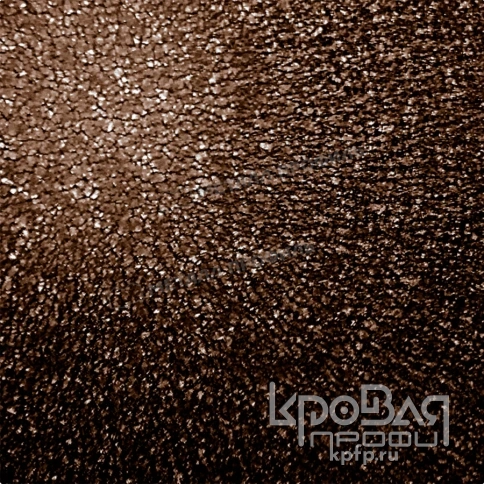 Металлочерепица МЕТАЛЛ ПРОФИЛЬ Ламонтерра-X (VALORI-20-DarkBrown-0.5) фото 3