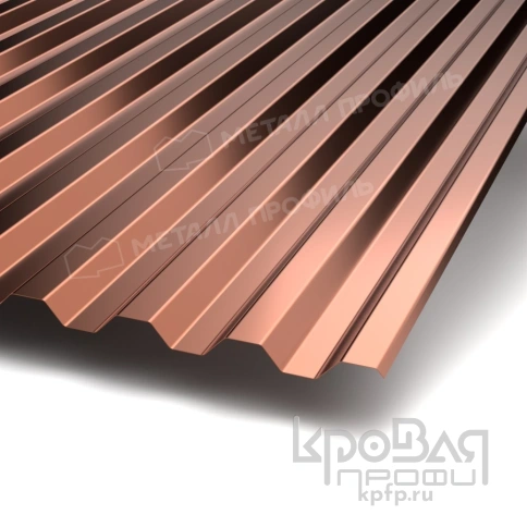 Профилированный лист С-21х1000-A (PURMAN-20-Argillite-0,5) фото 1