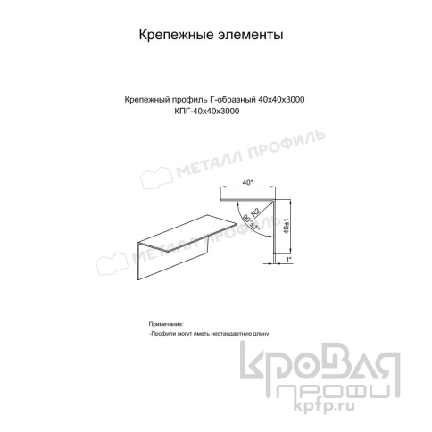 Крепежный профиль Г–образный 40х40х3000 порошковая окраска (ОЦ-01-БЦ-0.9) фото 2