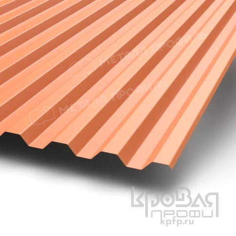 Профилированный лист С-21х1000-A NormanMP (ПЭ-01-8004-0,5) фото 1