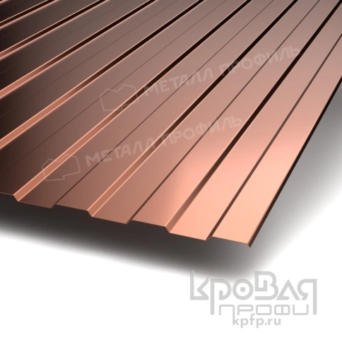 Профилированный лист С-8х1150-A (PURMAN-20-Argillite-0,5) фото 1