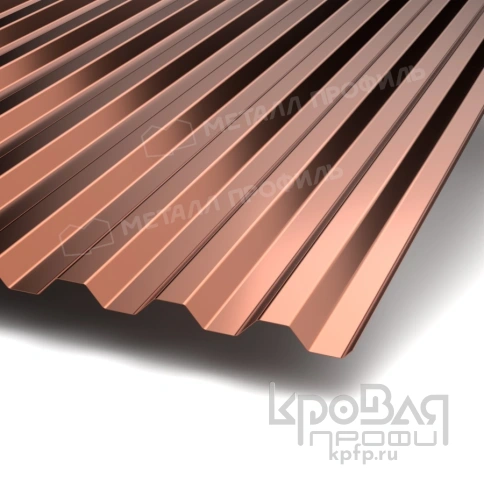 Профилированный лист С-21х1000-B (PURMAN-20-Argillite-0,5) фото 1