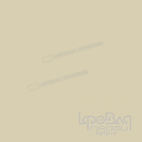 Планка завершающая 65х3000 (ПЭ-01-1035-0.45) фото 3