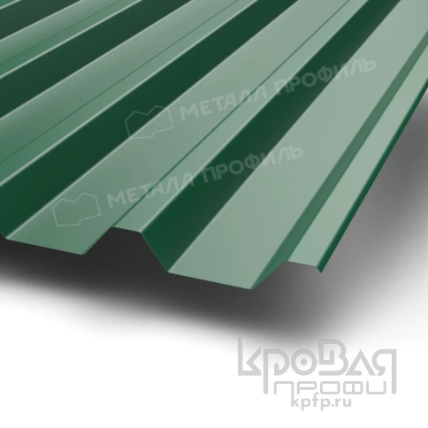 Профилированный лист С-44х1000-A (PURMAN-20-6005-0,5) фото 1