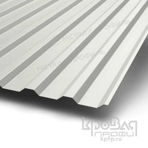 Профилированный лист МП-20х1100-B (ПЭ-01-9010-0,7) фото 1