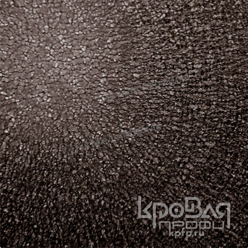 Профилированный лист С-8х1150-B (VALORI-20-DarkGrey-0,5) фото 3