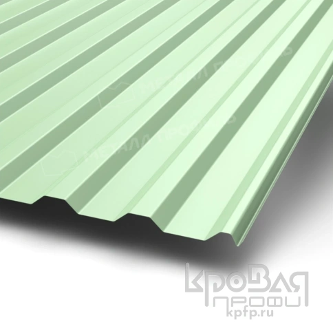 Профилированный лист МП-20х1100-R (ПЭ-01-6019-0,45) фото 1