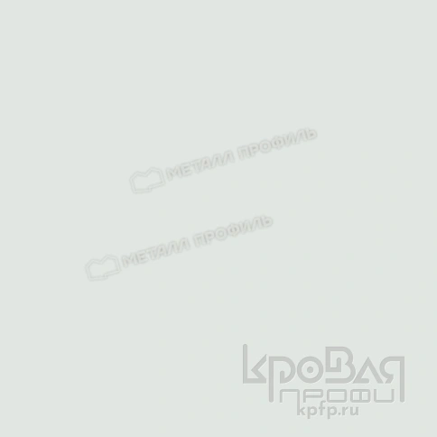Лист плоский (ПЭ-01-9003-0.9) фото 4