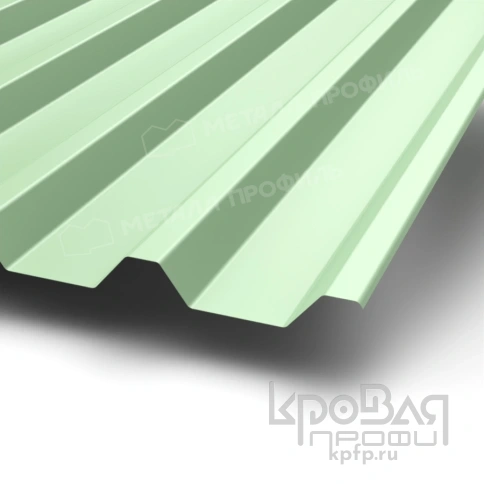 Профилированный лист С-44х1000-A NormanMP (ПЭ-01-6019-0,5) фото 1