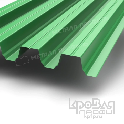 Профилированный лист Н-75х750-B (ПЭ-01-6002-0,7) фото 1
