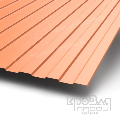 Профилированный лист С-8х1150-A NormanMP (ПЭ-01-8004-0,5) фото 1