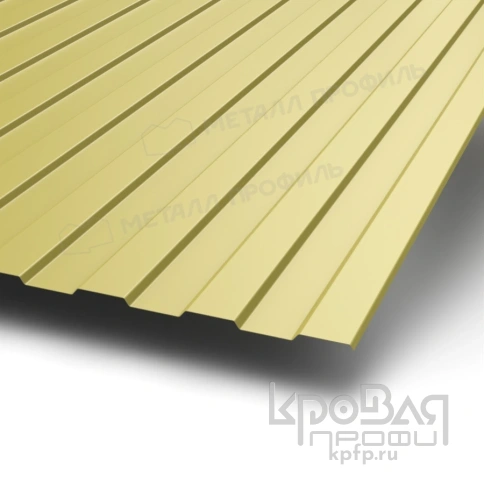 Профилированный лист С-8х1150-A (ПЭ-01-1018-0,7) фото 1