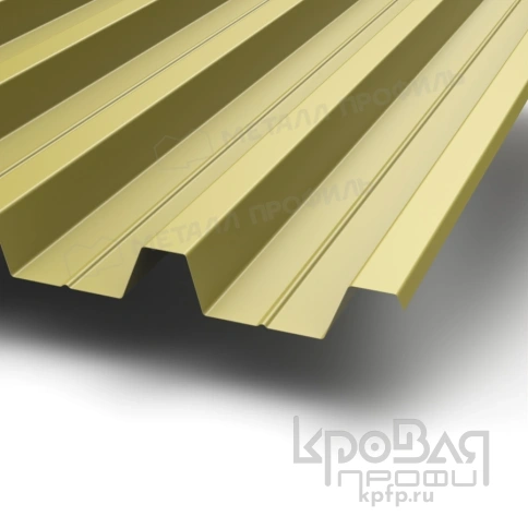 Профилированный лист Н-60х845-A NormanMP (ПЭ-01-1018-0,5) фото 1